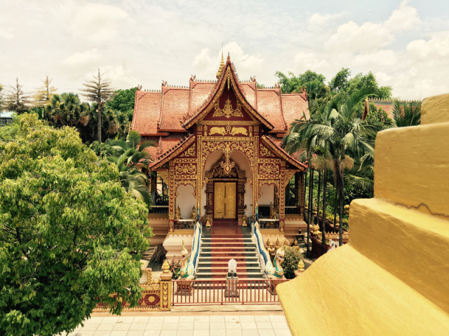 在西双版纳等风,等你来