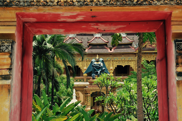 在西双版纳等风,等你来