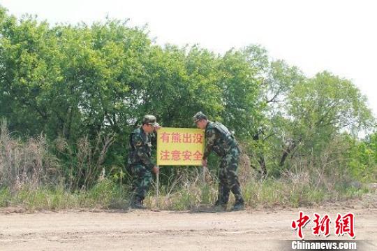 黑龙江饶河县境内突现黑熊 群众紧急疏散 姚海斌 摄