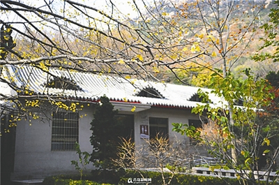 ɽġ콢
