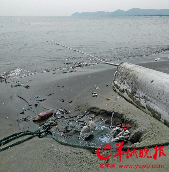 污染侵入广东城市八景 汕尾金厢银滩垃圾满地