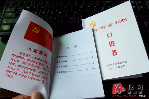 大学教师两学一做