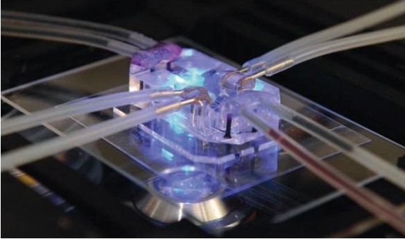 中国工程院院士程京:用生物芯片管未来|芯片