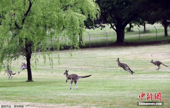  ����ͼ������