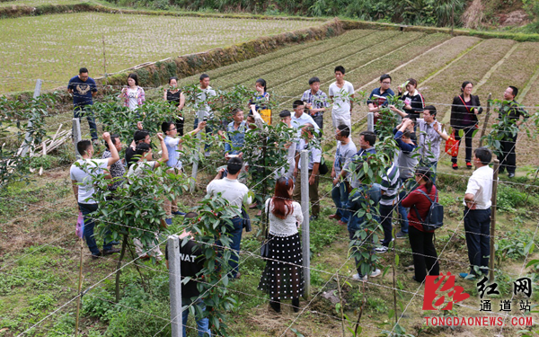 通道县正式启动农民大学生培养计划