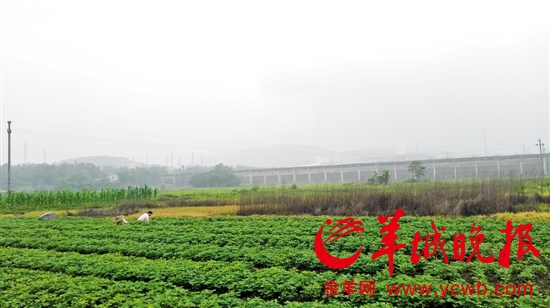 专家解读土十条:土壤家底待摸清 修复技术待