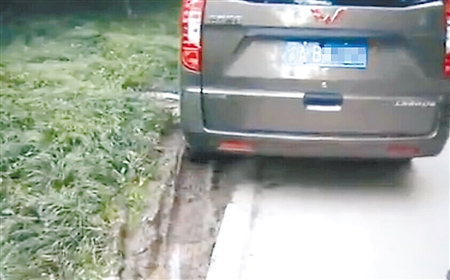 绿化带被压成荒草带 你还忍心给彩云湖公园添