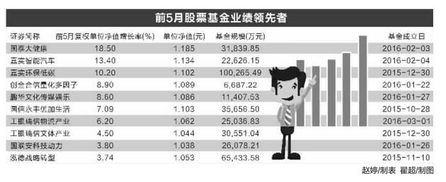 前5月股票基金平均收益为负 打新基金包揽业绩