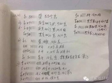 跟踪木先生妻子的捷达车上的本子里，记录着星河湾小区数十辆车的信息和行踪。