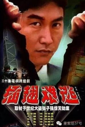 电视剧《插翅难逃》海报