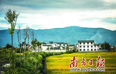 三亚还是大理?|大理|三亚|地方