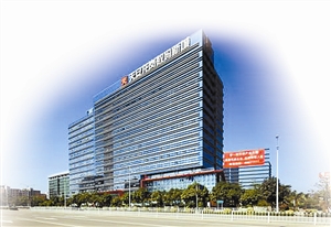 龙岗点燃创客心|小白|龙岗|创业