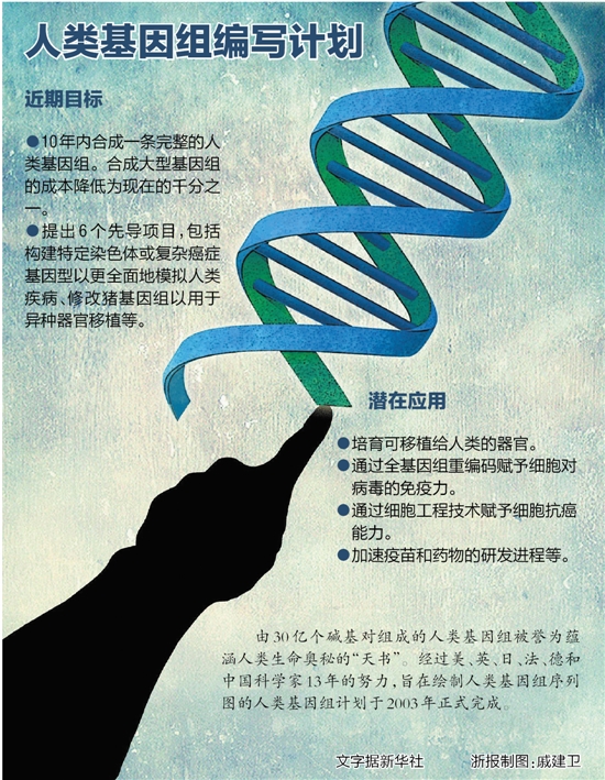 人类基因组编写计划|基因组|人类|计划