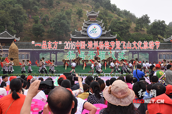 湖南靖州:20万游客共赏飞山 6万吨杨梅等你品