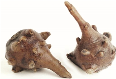 苏州盛产芡实,盐城滨海是首乌之乡|首乌|苏州|功