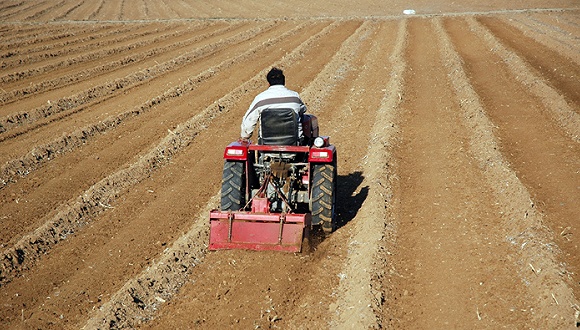 土地改革新规出台:部分农村土地使用权可抵押