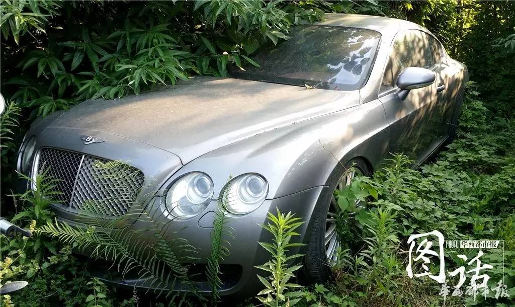 宾利长草 成都停车场的那些“僵尸豪车”