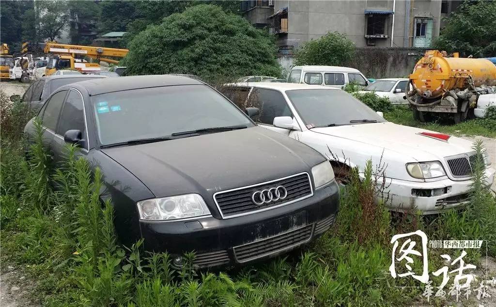 宾利长草 成都停车场的那些“僵尸豪车”