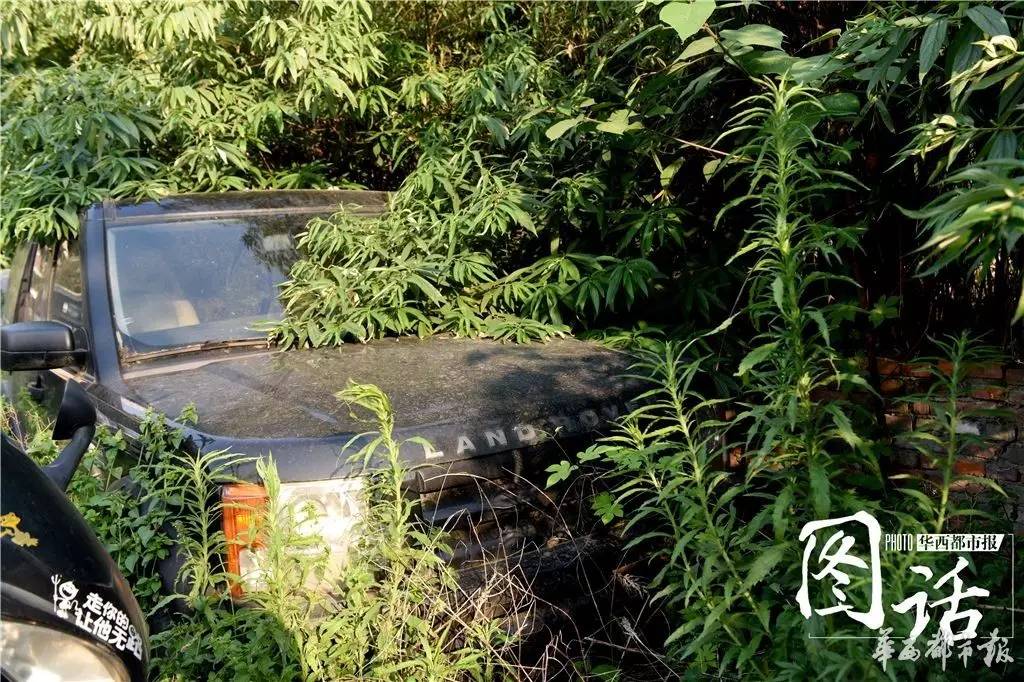宾利长草 成都停车场的那些“僵尸豪车”