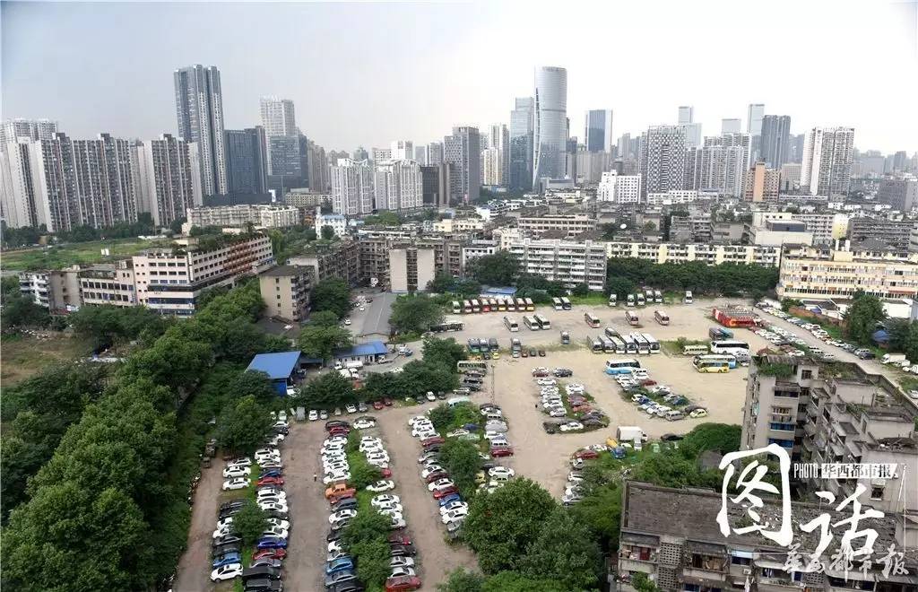 宾利长草 成都停车场的那些“僵尸豪车”