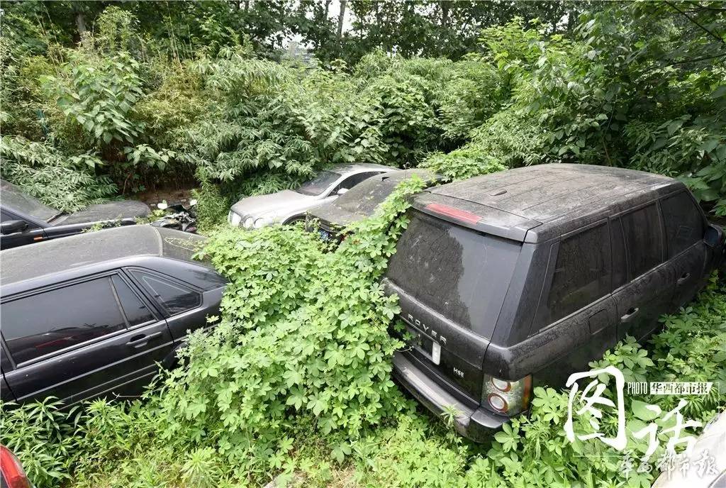 宾利长草 成都停车场的那些“僵尸豪车”