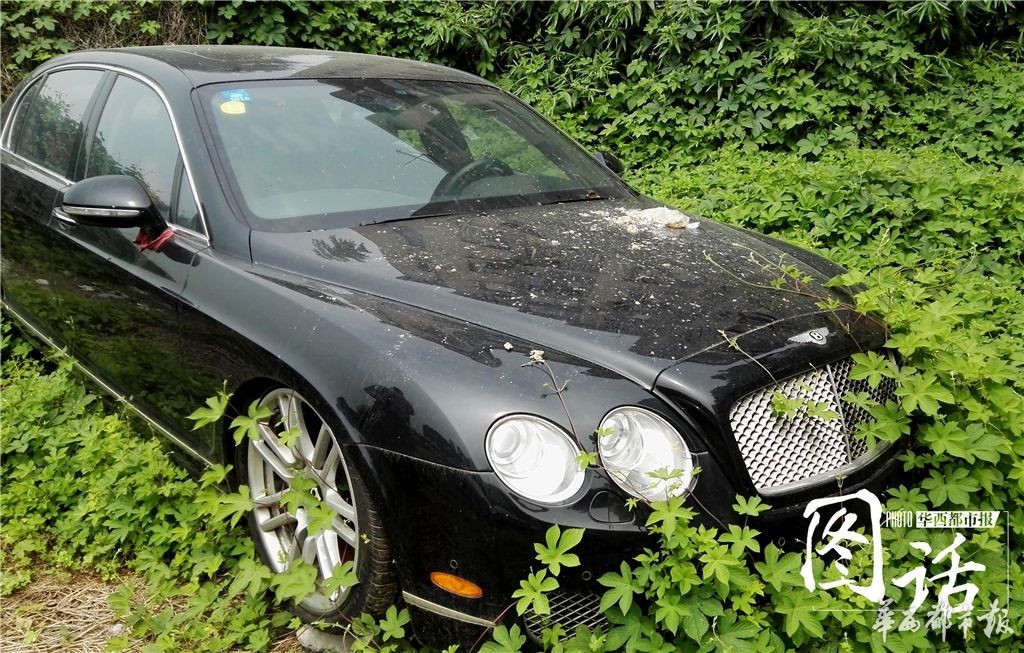 宾利长草 成都停车场的那些“僵尸豪车”