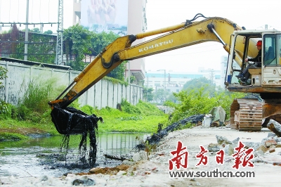 茅洲河治污严控环评审批|茅洲河|东莞市|环保部门