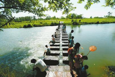 高考学子辛苦啦 新津邀你来过端午 花海养眼耍