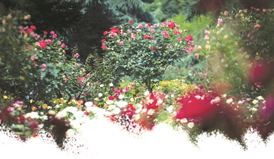 杭州明天端午不下雨气温最高28℃ 周五周六雷