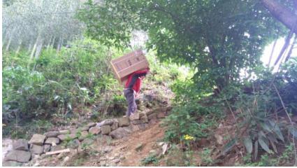 低价购省心 京东帮父亲节为你送爱到家|京东|家