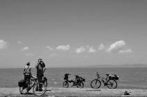 不管是骑行还是跑步 夏日环湖都有好心情|环湖