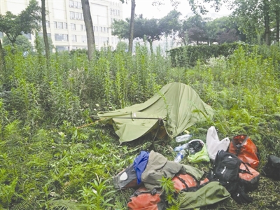法国小伙 骑行来蓉过端午|成都|法国|骑行