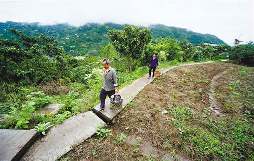 云阳今年已建成710公里人行便道|便道|村民|枇杷_新浪新闻
