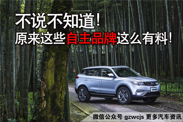 妈呀!原来这些自主品牌这么有料!