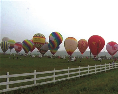 50对新人坐热气球办婚礼|热气球|新人|市民