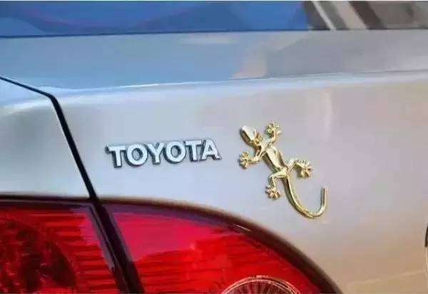 车后贴壁虎什么意思?真相有点意外!