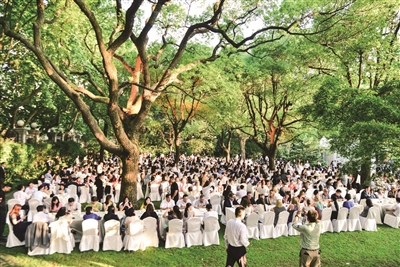 三胞助阵世界最大英式奶油茶派对|英国|吉尼斯