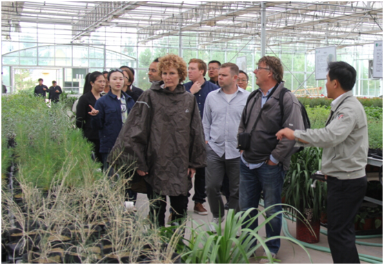 瑞典科学家:中国库布其治沙人是我们的老师|科