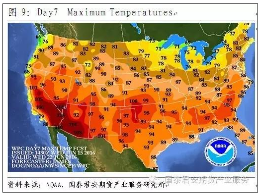 豆类或将阶段性见顶!|大豆|美豆|报告