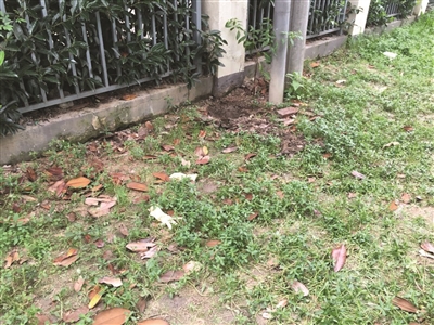 Ů�������Ѳ����� ����Ů�Ӷ�û�ˣ�