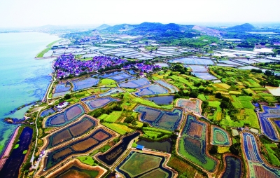 经济薄弱村 跻身百强村