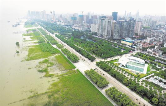 今日入梅湖北进入主汛期|我省|湖北|长江