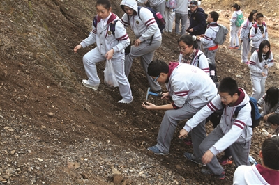 培养科学素养 南京一中向学生敞开实验室|科学