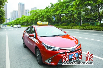 跑出一公顷森林 雷凌双擎成羊城环保新名片|