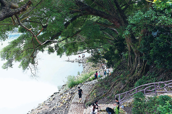 永泰县梧桐镇春光村大力发展乡村旅游经济