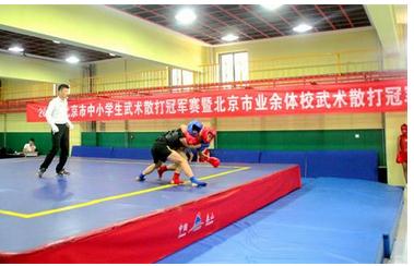 2016年北京市中小学生武术散打冠军赛|代表队