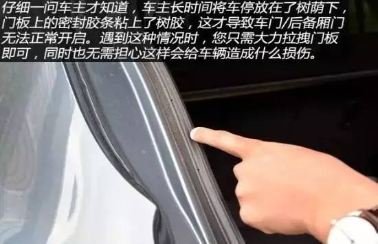 新车高速路上熄火,泼辣女车主大闹4S店