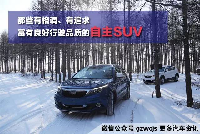 国产车开起来松散?这些德味十足的SUV不服
