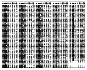 深沪证券市场每日行情及总貌