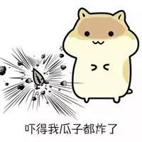 交通违法通报纪检?看交通处罚有什么变化